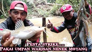 SPOT BARU IKAN BAUNG ASLI GANAS GANAS