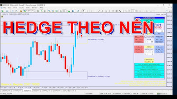 Tập 5 Tools - Công cụ trade Forex HEDGE theo giá cao , giá thấp của CÂY NẾN