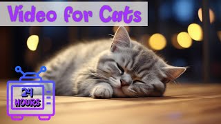 24 HOURS of Relaxing Music for Cats Cat TV-Sleep Music for Anxious, ill and Stressed Cats 2