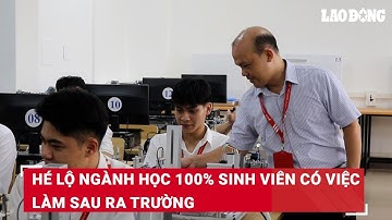 Hé lộ ngành học 100% sinh viên có việc làm sau ra trường | Báo Lao Động