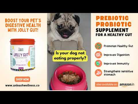 Boost your pet's gut health with Jolly Gut ® - video from Unleash Wellness