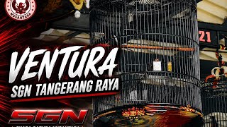 Aksi Murai Batu Ventura di Grand Launching SGN Tangerang Raya