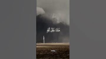 (هَٰذَا خَلْقُ اُ۬للَّهِ) #سورة_لقمان #قرآن #تلاوات #إكسبلور #حالات_واتس #quranforheart #quran