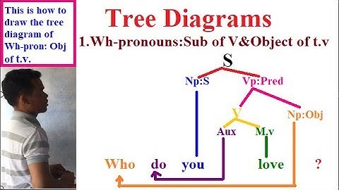 Learning English Grammars: Tree Diagrams (Part 1)