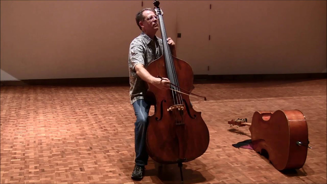 Double Bass Excerpt Haydn Symphony No. 31 "Hornsignal" Bass Solo