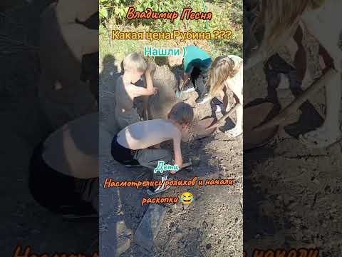 Владимир Песня / Не я #шортс #shortvideo #shorts