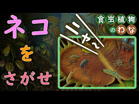 ニャ～【ネコをさがせ！】この絵の中に猫がいます。絵本『食虫植物のわな』（偕成社）より