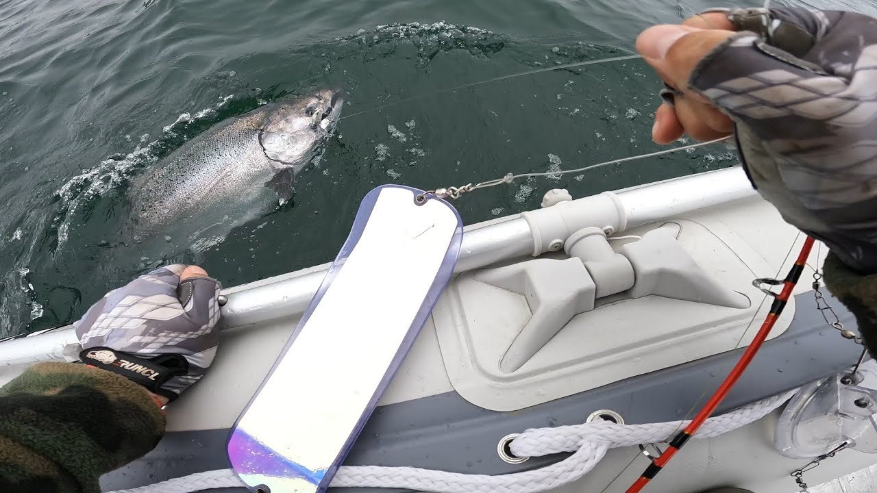 Pesca Salmon y Sierras en Costa Valdivia nov 2023