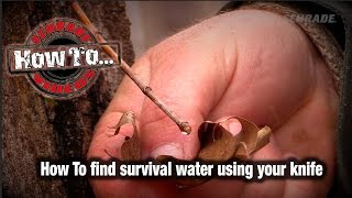 How To Obtain Survival Water Using Your Knife