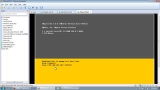 Installing ESXi 5 with vSphere and FreeNAS