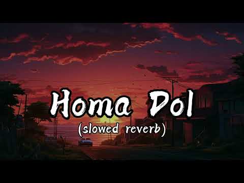 Homa Dol☺️💖 Lofi🎧🎧 (Lyrics) (slowed + reverb) | Neeti Mohan | Elli AvrRam | Youtube Trending Song ||