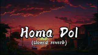 Homa Dol☺️💖 Lofi🎧🎧 (Lyrics) (slowed   reverb) | Neeti Mohan | Elli AvrRam | Youtube Trending Song ||