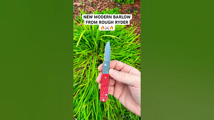 NEW MODERN BARLOW FROM ROUGH RYDER (RR2612) 🔥⚔️🔥 #youtubeshorts #blade #edc