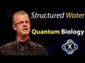 Jack Kruse Structured water benefits and Quantum Biology