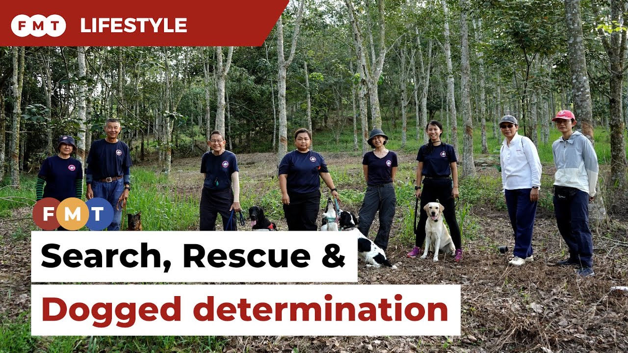 The courageous Search and Rescue Dogs of Malaysia