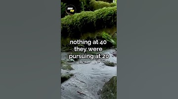 Jordan Peterson | Pursuing The Same Nothing #shorts  #short #jordanpetersonshorts #jordanpeterson