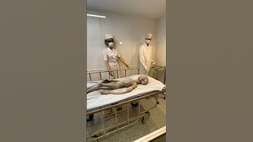 Thumbnail of Aliens Are REAL At This UFO Museum! 👽