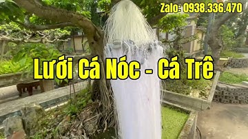 Lưới Dù Đánh Cá Nóc / Cá Trê / Rô Gai | Cao 1,2x100m 5cm Bao Hàng Đẹp- Túi Sâu