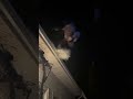 MAN GETS THROWN OFF THE ROOF⁉️