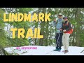 Ep. 05 -Best Hiking trail in BC| Hiking in Mt. Revelstoke via Lindmark Trail | Summer in Canada