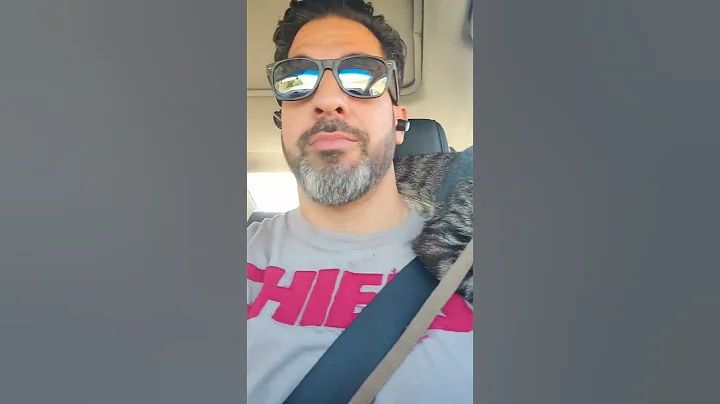 Adventure Cat &  Dog  Road Trips!! #shorts