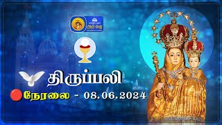 🔴 LIVE : Holy Mass In Tamil - 08th June 2024 | Annai Vailankanni Shrine | Besant Nagar Annai