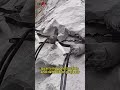 A portable hydraulic rock splitter used for breaking rock, concrete, or other hard materials.