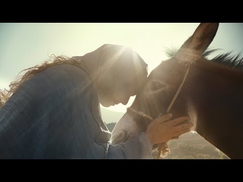 Carry the light ✨ #believeinyourself Erste Christmas Ad 2025