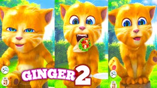 Talking Ginger 2 FUNNY Moments Gameplay 🙀😲 | talking ginger 2 eat with me |