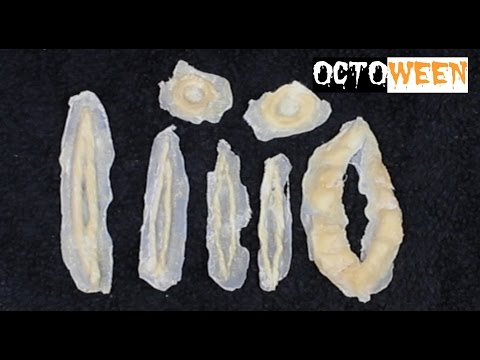 How To Make SFX Liquid Latex Prosthetics / Nishi V | Octoween