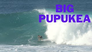 Solid North Shore Waves Tom Carroll, Luana Silva, Michel Bourez And More.