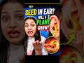 Seed Inside Ear 😱 Can a Plant Really Grow? | Shocking Truth! #shorts