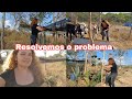 DIA PRODUTIVO POR AQUI | FINALIZANDO O DIA NO SÍTIO 