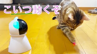 （アリエクスプレス)自動で動く猫用レーザーポインターのおもちゃで留守番中遊んでもらいます（ベンガル猫ぱる）