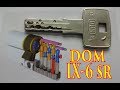 (1086) DOM IX-6 SR Picked & Gutted