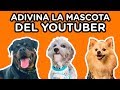 ADIVINA LA MASCOTA DEL YOUTUBER | SUSPIRAS DE AMOR POR TODOS | YOU OCIO