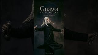 YA MOULAY - Apex Music | Gnawa Trap Fusion x Guembri x Dub Official Audio#Gnawa #ApexMusic #YaMoulay