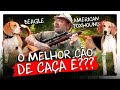 BEAGLE x FOX, O DESAFIO DOS CAÇADORES! | RICHARD RASMUSSEN