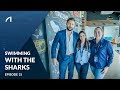 #UnderTheSurface - Episode 15: Swimming with the Sharks