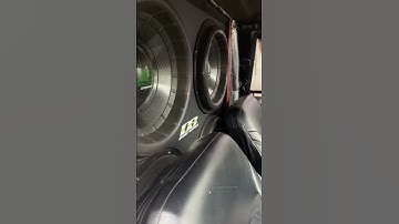 4* Deaf Bonce Apocalypse Flex #deafbonce #apocalypse