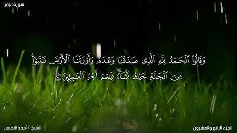 احمد النفيس🌼ما تيسر من سورة الزمر💛