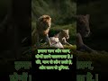      attitude tiger motivation lionrajputana rajputanastatus