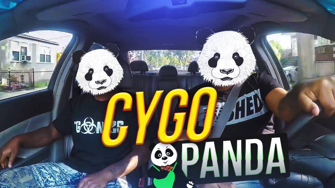 Песня панда бегу от гепарда. Сygo Panda. Панда и гепард. Панда от гепарда. Cugo Panda e.