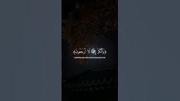 تلاوة هادئة تريح الأعصاب 😴🎧 القارئ: اسلام صبحى سوره: المؤمنون 💙❤