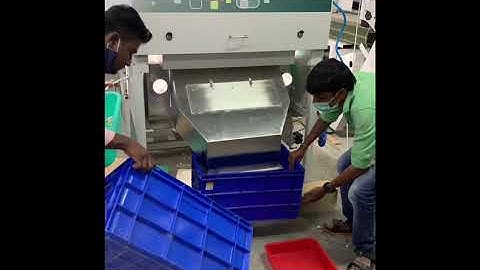 ✅ Peeled garlic Color Sorter Machine - ☎️ Call @+919994399996 /+91 9600662478