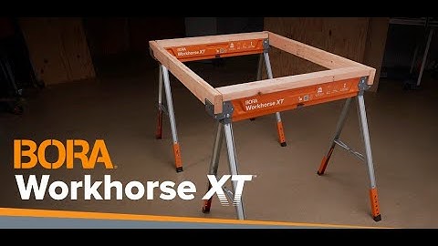 BORA Workhorse XT
