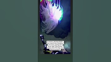 This Deep Sea Creature Looks Unreal