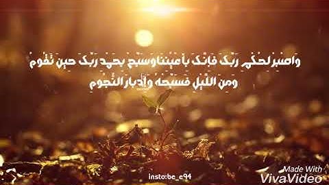 صوت يريح قلبك ولك أجر السامعين قران كريم 15 ثانيه للانستجرام