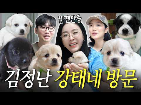 "Are you out of your mind!"🔥 Kim Jung-nan gets furious after hearing the story of the rescued chi...