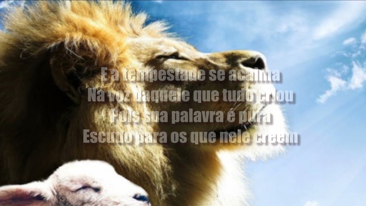 O Escudo Voz da Verdade Playback / Karaokê (-4 Tons )